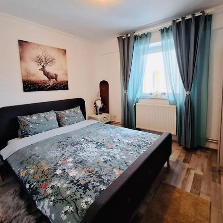 Hellen Studio Predeal Εξωτερικό φωτογραφία