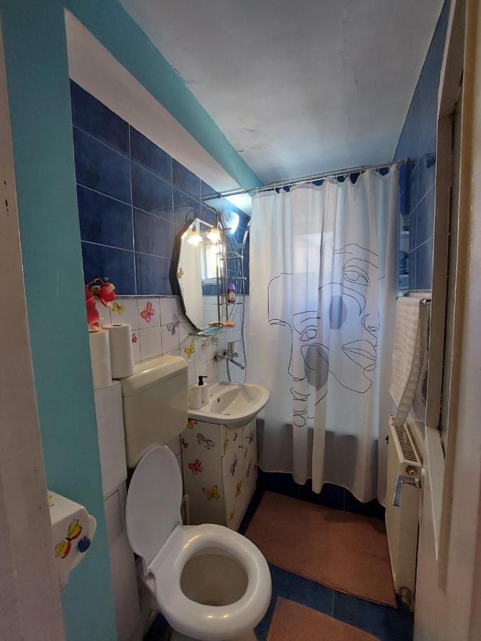 Hellen Studio Predeal Εξωτερικό φωτογραφία