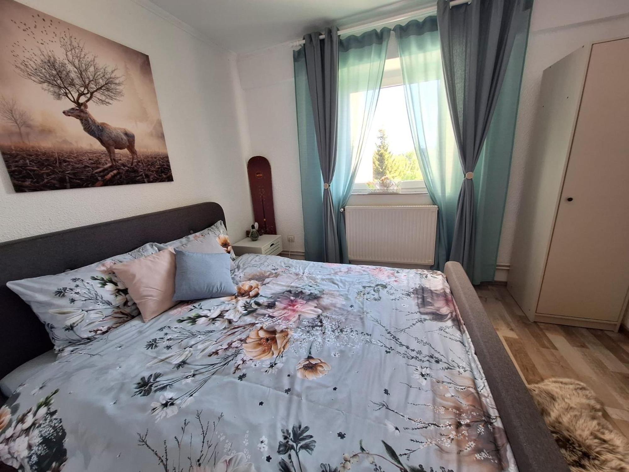 Hellen Studio Predeal Εξωτερικό φωτογραφία